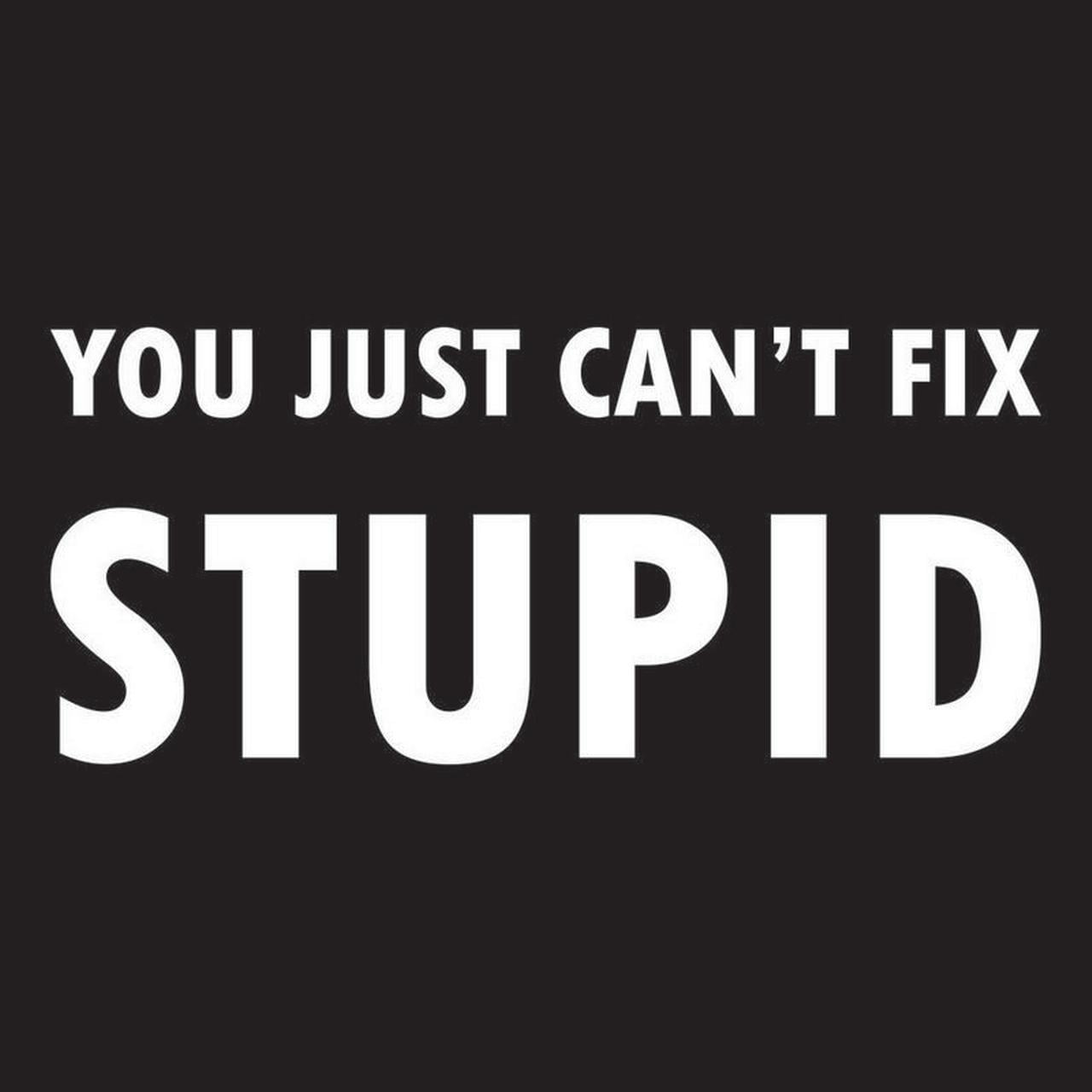 【中古】 You Can’t Fix Stupid RonWhite Ron White DVD You Can't Fix Stupid tested comedy comedian