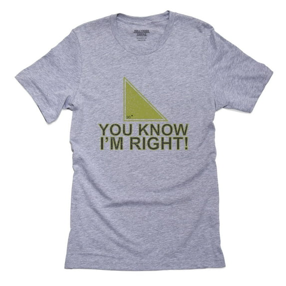 You Know I'm Right! Geometry Angle Funny Men's Grey T-Shirt