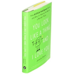 Pre-Owned You Look Like a Thing and I Love You: How Artificial Intelligence Works and Why It's Making the World a Weirder Place (Hardcover) 0316525243 9780316525244
