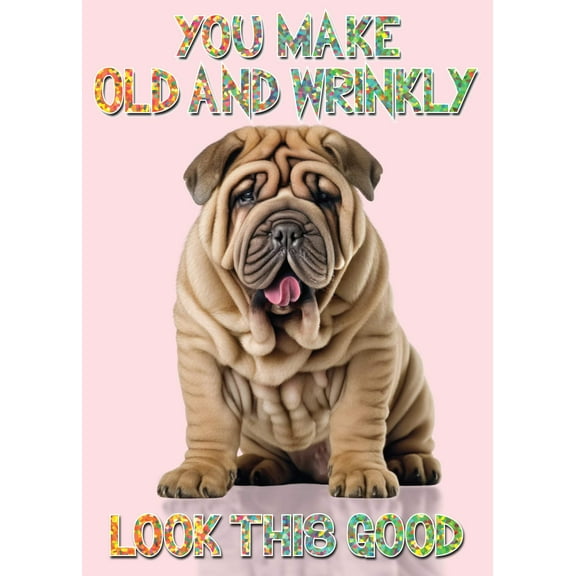 You Make Old and Wrinkly Look This Good Happy Birthday Card