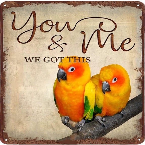 You and Me We Got It Parrot Vintage Metal Tin Sign Gift for Couples Home decor Plate Wall Art Farmhouse Sign Living Room Decor for Birthday Christmas Valentine's day Housewarming Gift 12x12 inches