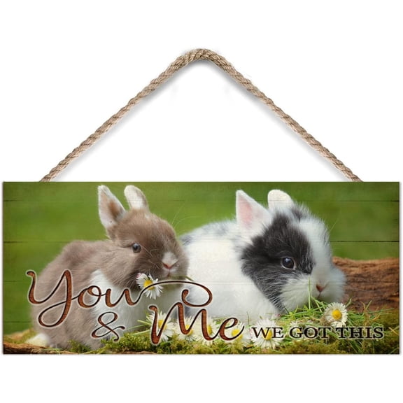 You and Me We Got It Rabbit Wooden Hanging Sign Funny Animal Wall Art for Bedroom Living Room Front Door Sign - 6x12 Inches - Wooden Door Hanger Gift for Birthday Anniversary Christmas