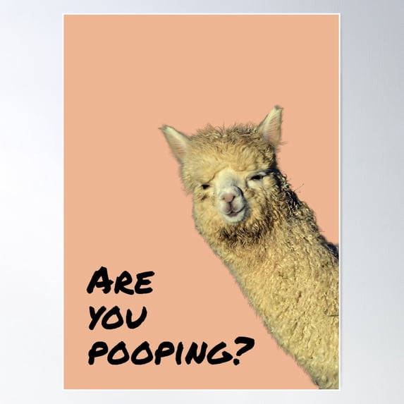 Are You Pooping? - Funny Alpaca Llama Meme For Bathroom Or Restroom Decoration Poster Wall Art, Modern Wall Decor For Living Room Bedroom, 8x12 UNFRAMED