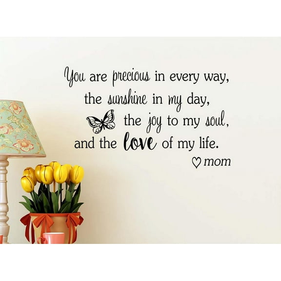 You are Precious in Every Way 23 x 14 Vinyl Wall Quote Butterfly Hearts Nursery Baby Decal Sticker Decor Motivational Inspirational Decorative Lettering Love Hearts