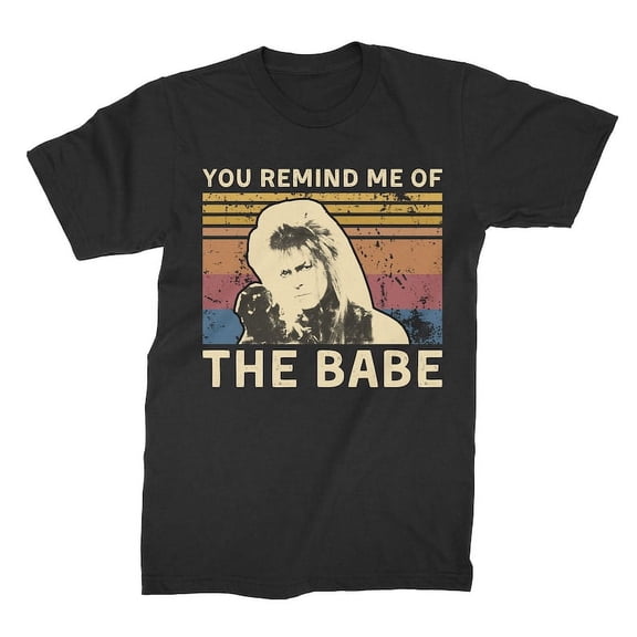You Remind Me Of The Babe Shirt Vintage T Shirt, Gift for Men and Women