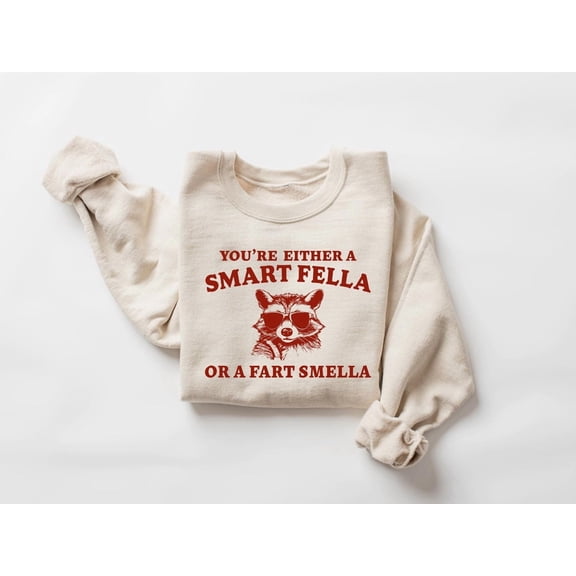 Are You A Smart Fella Or Fart Smella? Retro Cartoon T Shirt, Weird T Shirt, T Shirt, Trash Panda T Shirt, Unisex Oversize T shirt, y2k Tshirt All Size S-5XL