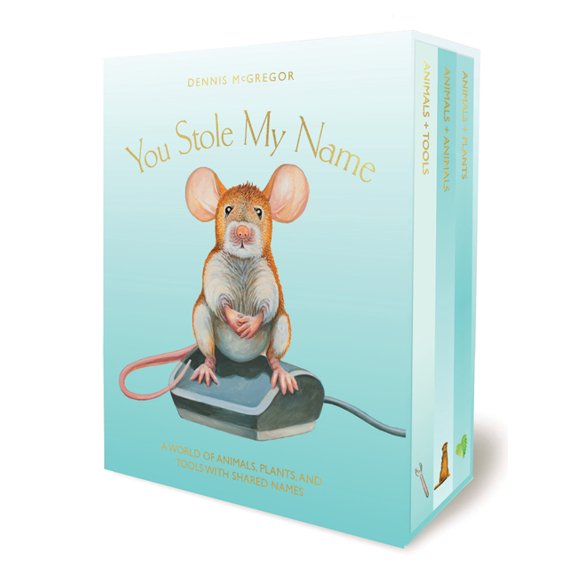 You Stole My Name You Stole My Name Board Book Box Set: Poetry Books for Early Learning, (Paperback)