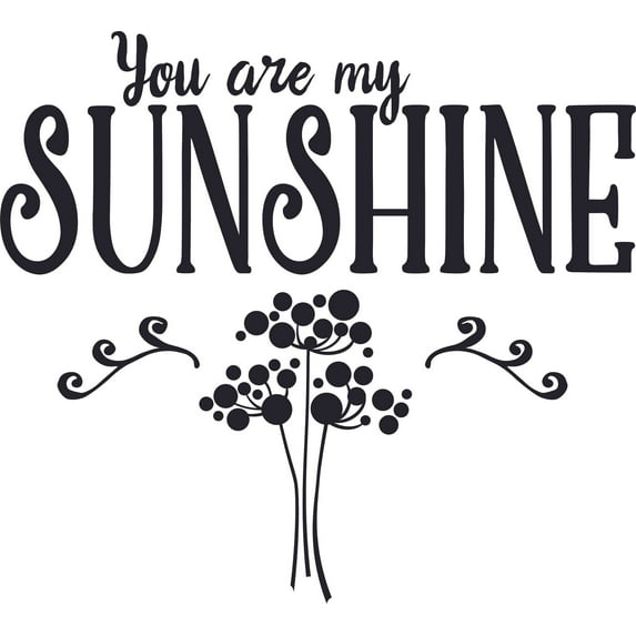 You Are My Sunshine Romantic Quotes Lettering Wall Sticker Art Design Decal for Girls Boys Kids Room Bedroom Nursery Kindergarten House Fun Home Decor Stickers Wall Art Vinyl Decoration (12x20 inch)