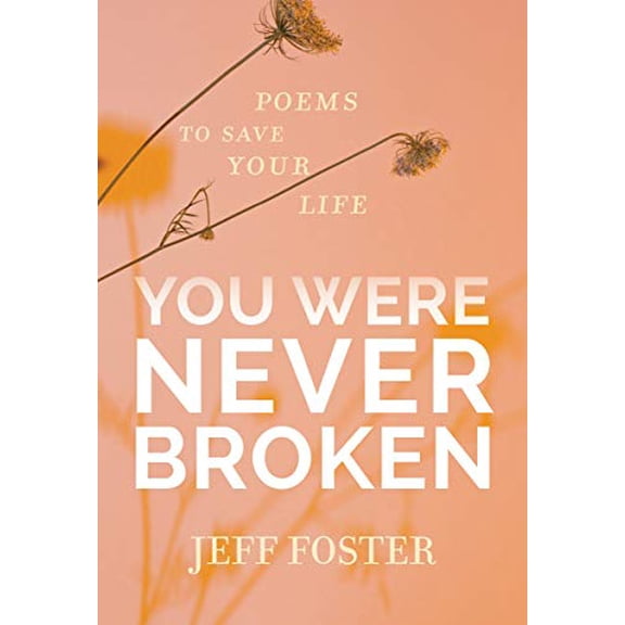 Pre-Owned You Were Never Broken: Poems to Save Your Life (Paperback) 1683645596 9781683645597