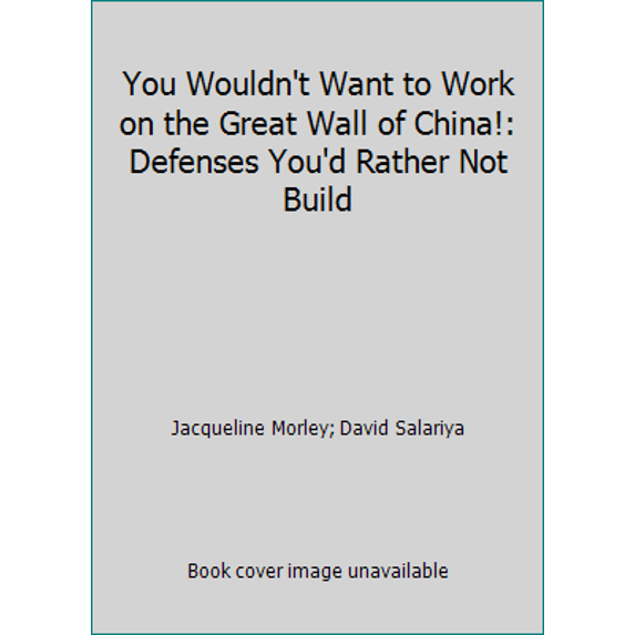 Pre-Owned You Wouldn't Want to Work on the Great Wall of China!: Defenses You'd Rather Not Build (Unknown) 1439523673 9781439523674