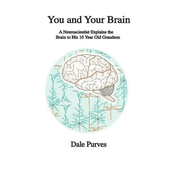 You and Your Brain : A Neuroscientist Explains the Brain to His 10 Year Old Grandson (Paperback)