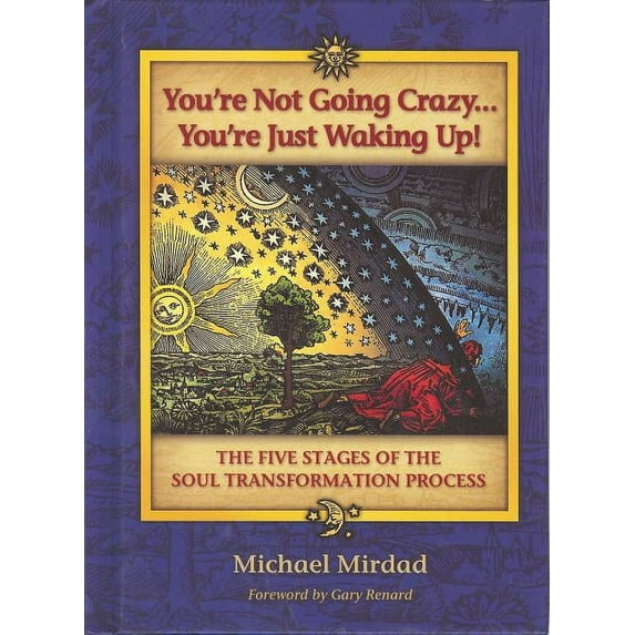 You're Not Going Crazy... You're Just Waking Up!: The Five Stages of the Soul Transformation Process, (Hardcover)