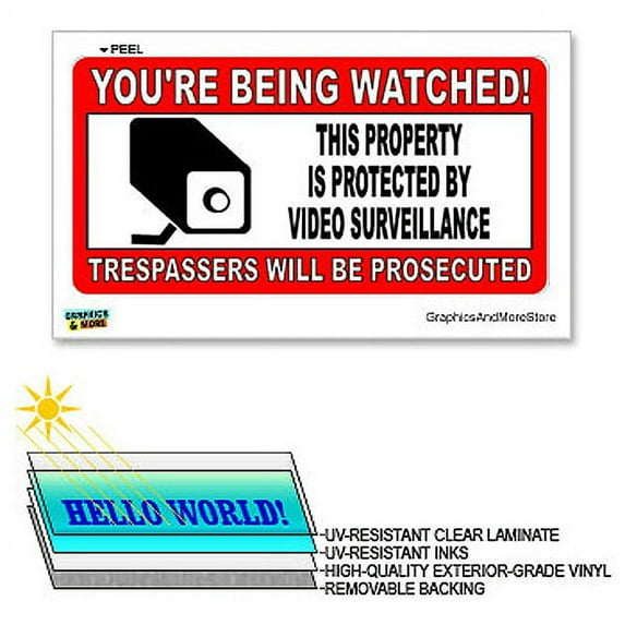 You're Being Watched Security Video Surveillance - 12 in x 6 in - Laminated Sign Window Business Sticker