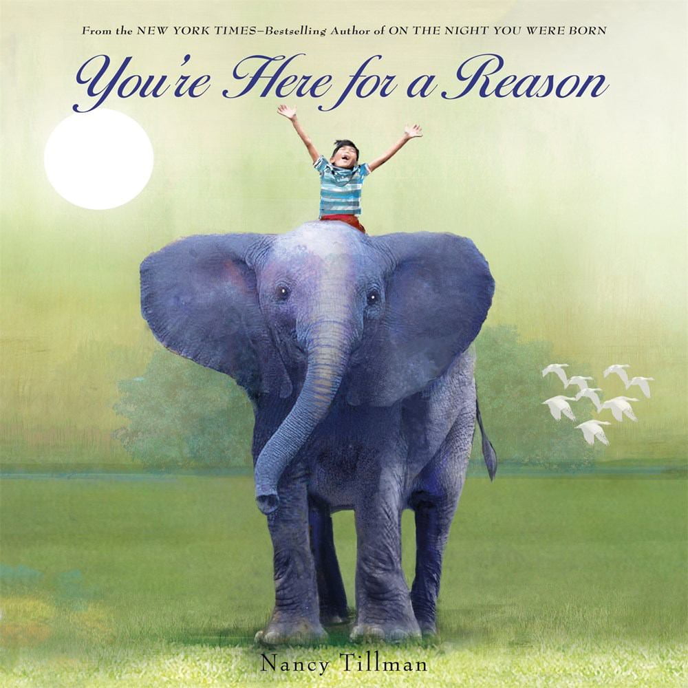 NANCY TILLMAN You're Here for a Reason (Board Book)