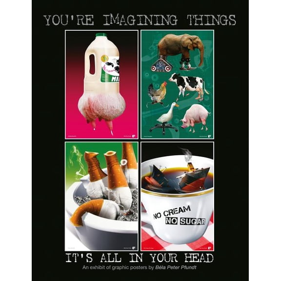 You're Imagining Things. It's All In Your Head., (Paperback)