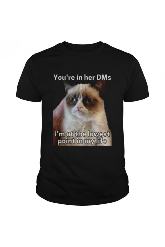 You’re In Her Dms I’m At The Lowest Point In My Life Cat Meme shirt