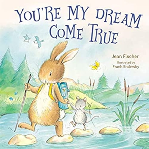 Pre-Owned You're My Dream Come True: Building a Family Through Pregnancy, Adoption, and Foster (Board book) 140021615X 9781400216154