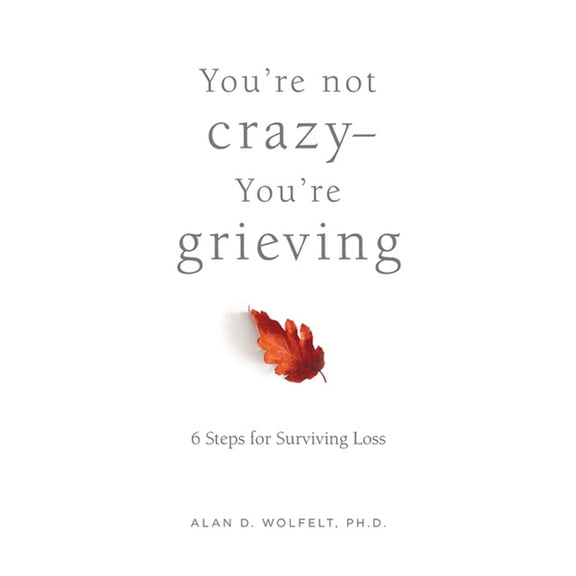Youre Not CrazyYoure Grieving: : 6 Steps for Surviving Loss (Paperback)