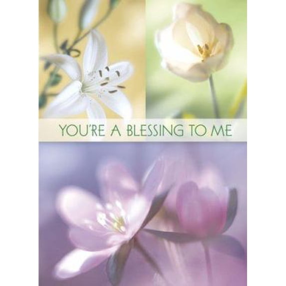 Pre-Owned You're a Blessing to Me (Women's) Greeting Book Hardcover