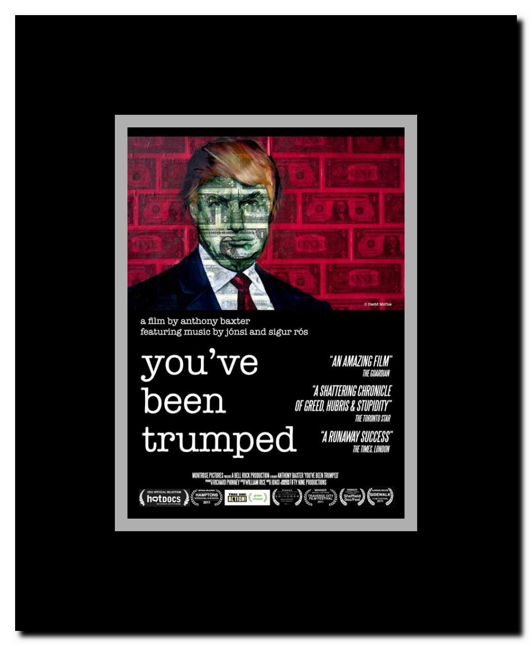 You've Been Trumped Framed Movie Poster