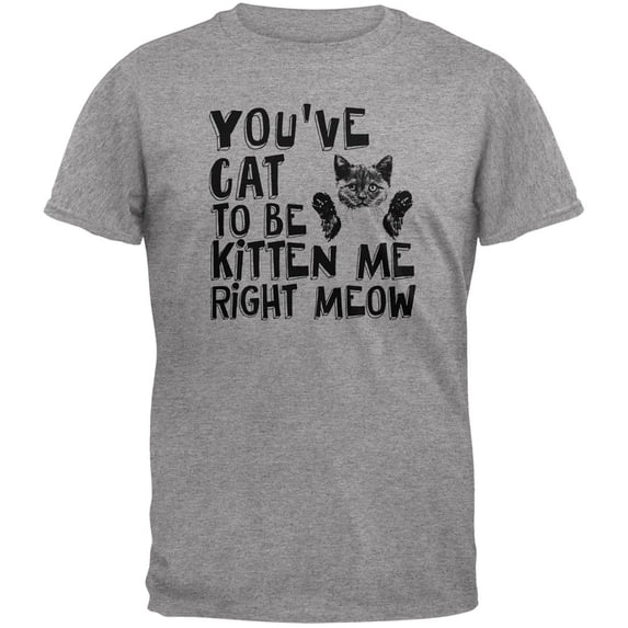 You've Cat To Be Kitten Me Right Meow Grey Adult T-Shirt - 5X-Large