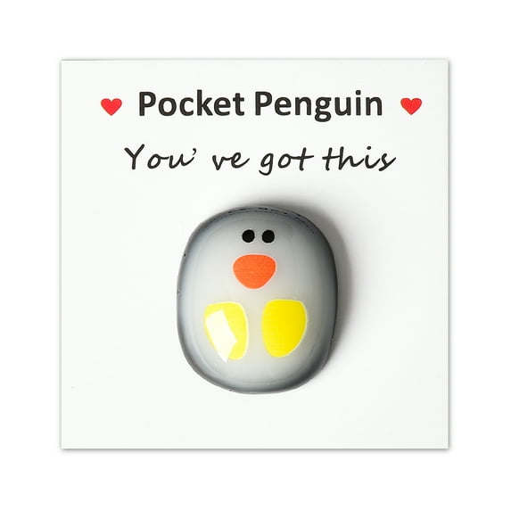 You've Got This Pocket Hug for Daughter Son Granddaughter Grandson Brother Sister Christmas Birthday Gift for Cousins Friend Inspirational Gift for Penguin Lovers Pocket Penguin Stress Relief Toy