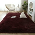 thumbnail image 1 of YouLoveIt Rectangle Soft Area Rugs Shaggy Area Rugs Fluffy Shag Rug Floor Rugs Non-Slip Home Decor Warm Mat Home Bedroom Beside Mat Plush Area Rugs for Living Room, 1 of 5