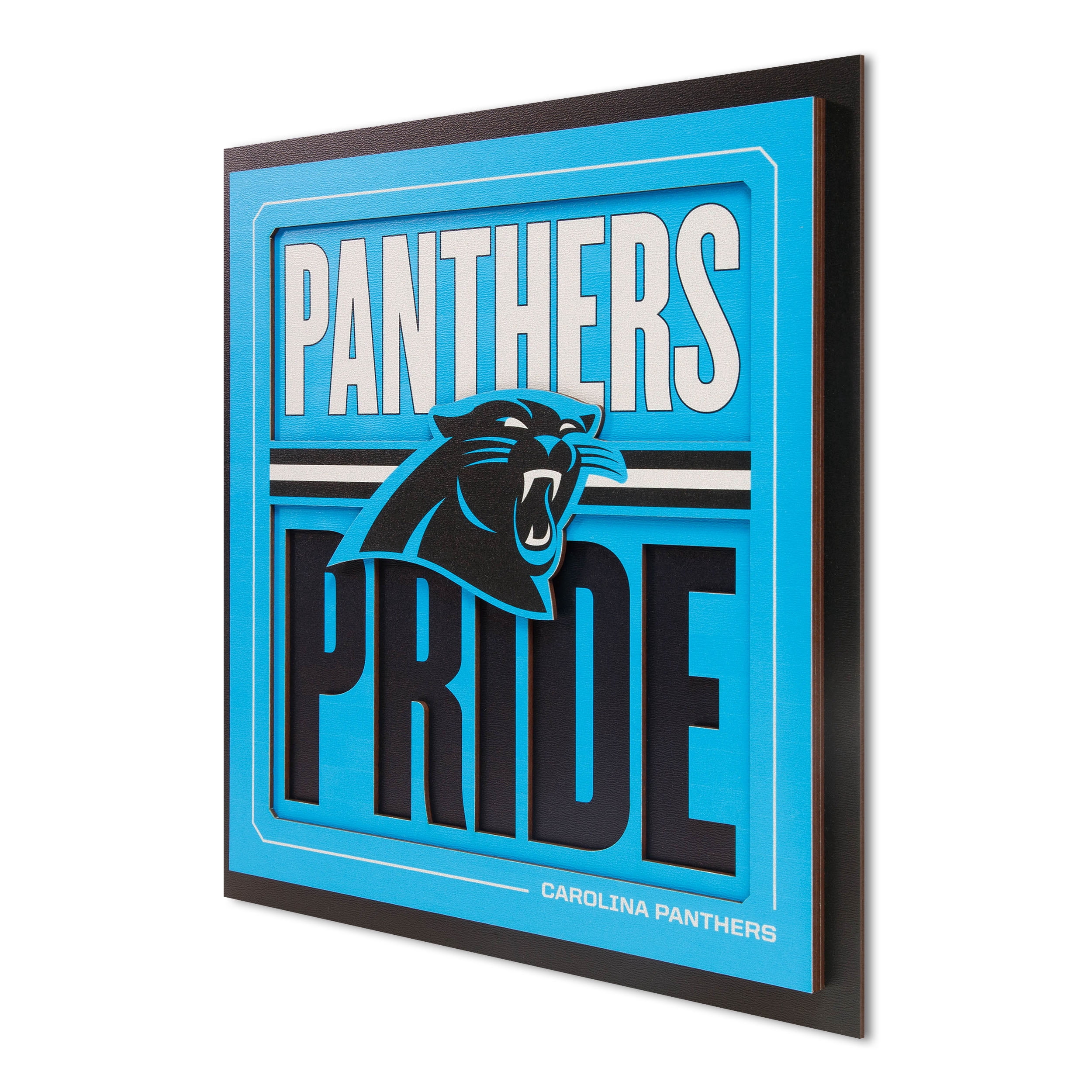 IDNA Carolina Panthers 12" x 12" Slogan Series 3D Wall Art