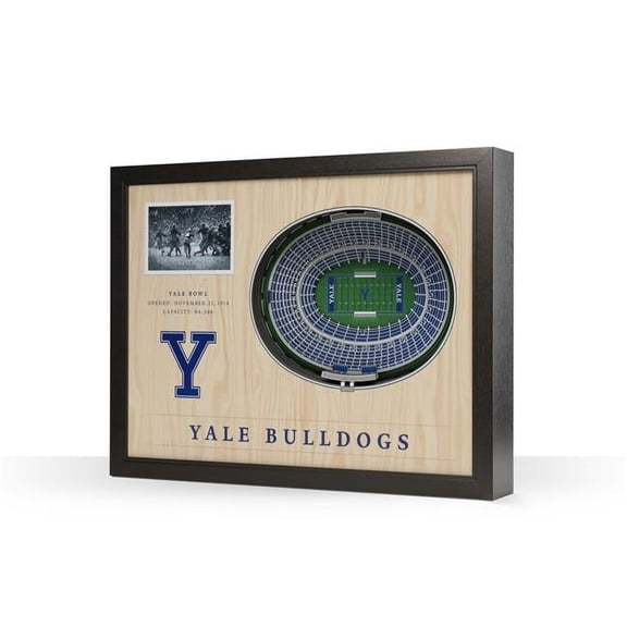 YouTheFan NCAA Yale Bulldogs FB 25-Layer Stadiumview Wall Art