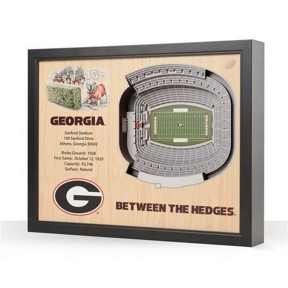 YouTheFan NCAA Georgia Bulldogs FB 25-Layer Stadiumview Wall Art