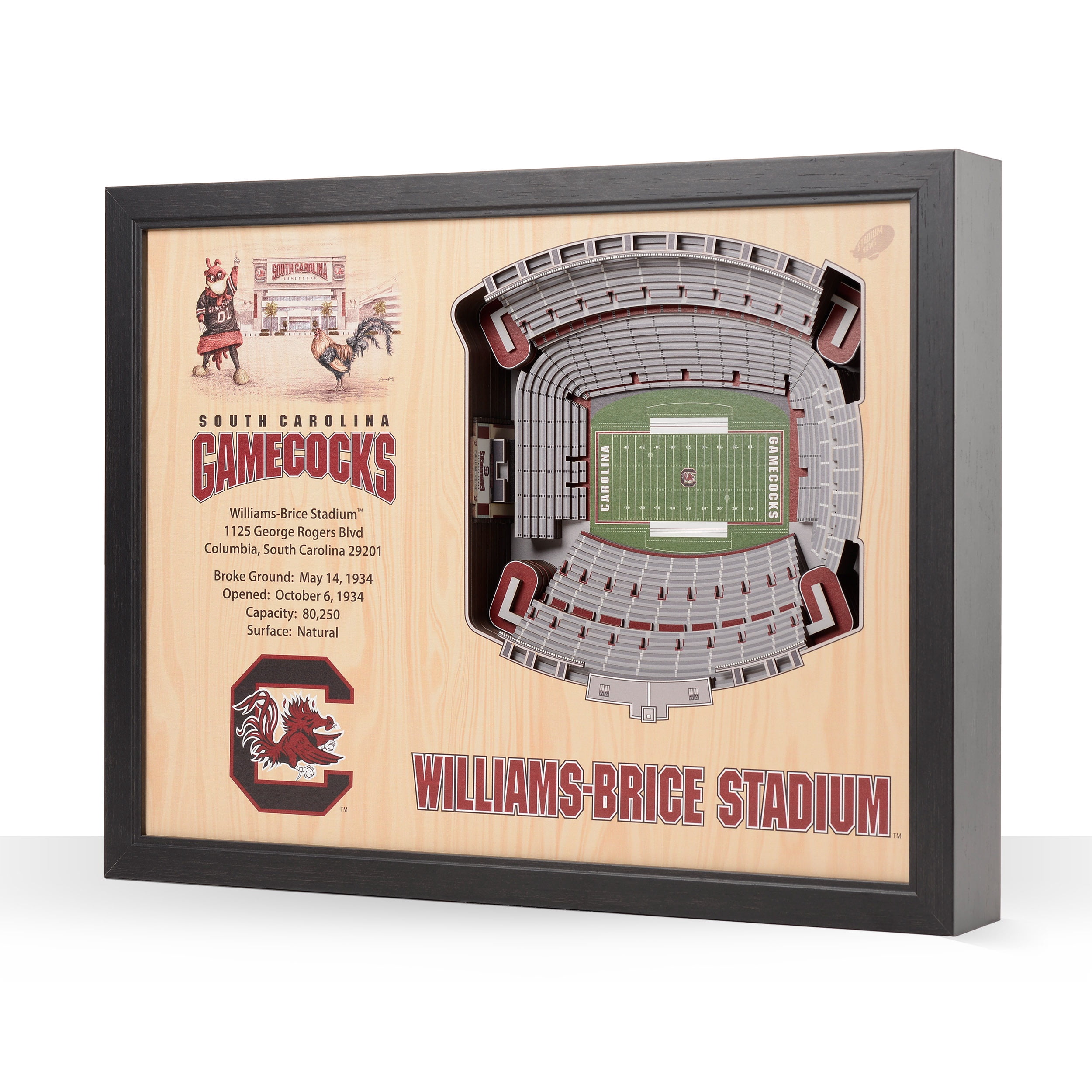 YouTheFan NCAA S Carolina Gamecocks FB 25-Layer Stadiumview Wall Art