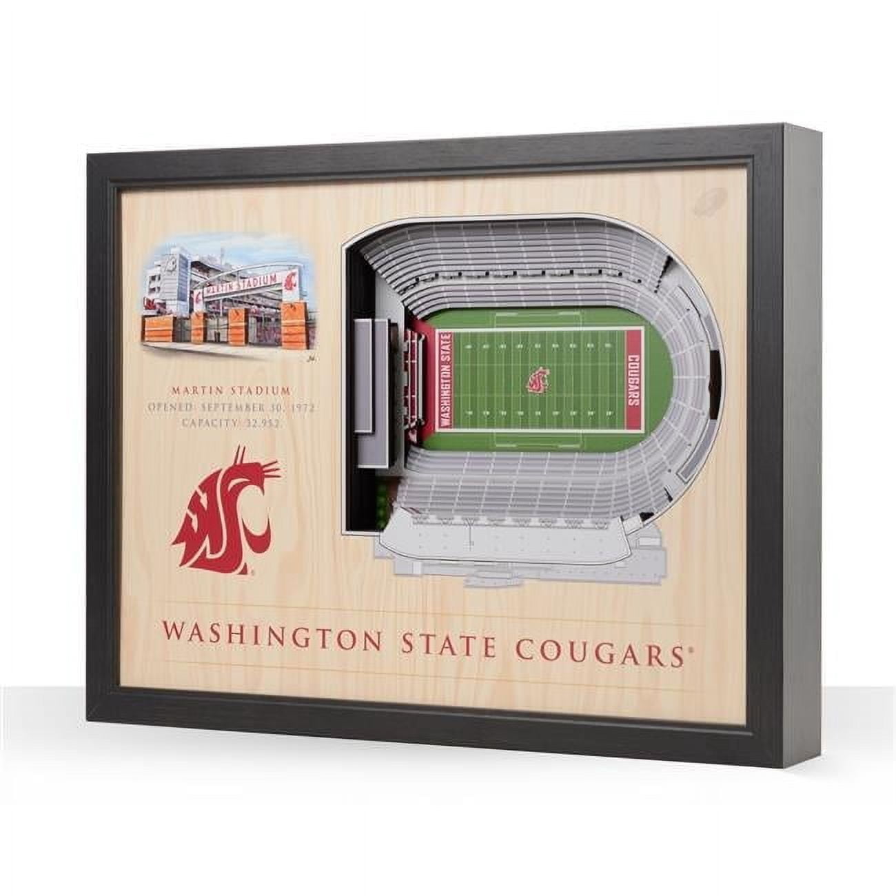 YouTheFan NCAA Washington St Cougars FB 25-Layer Stadiumview Wall Art
