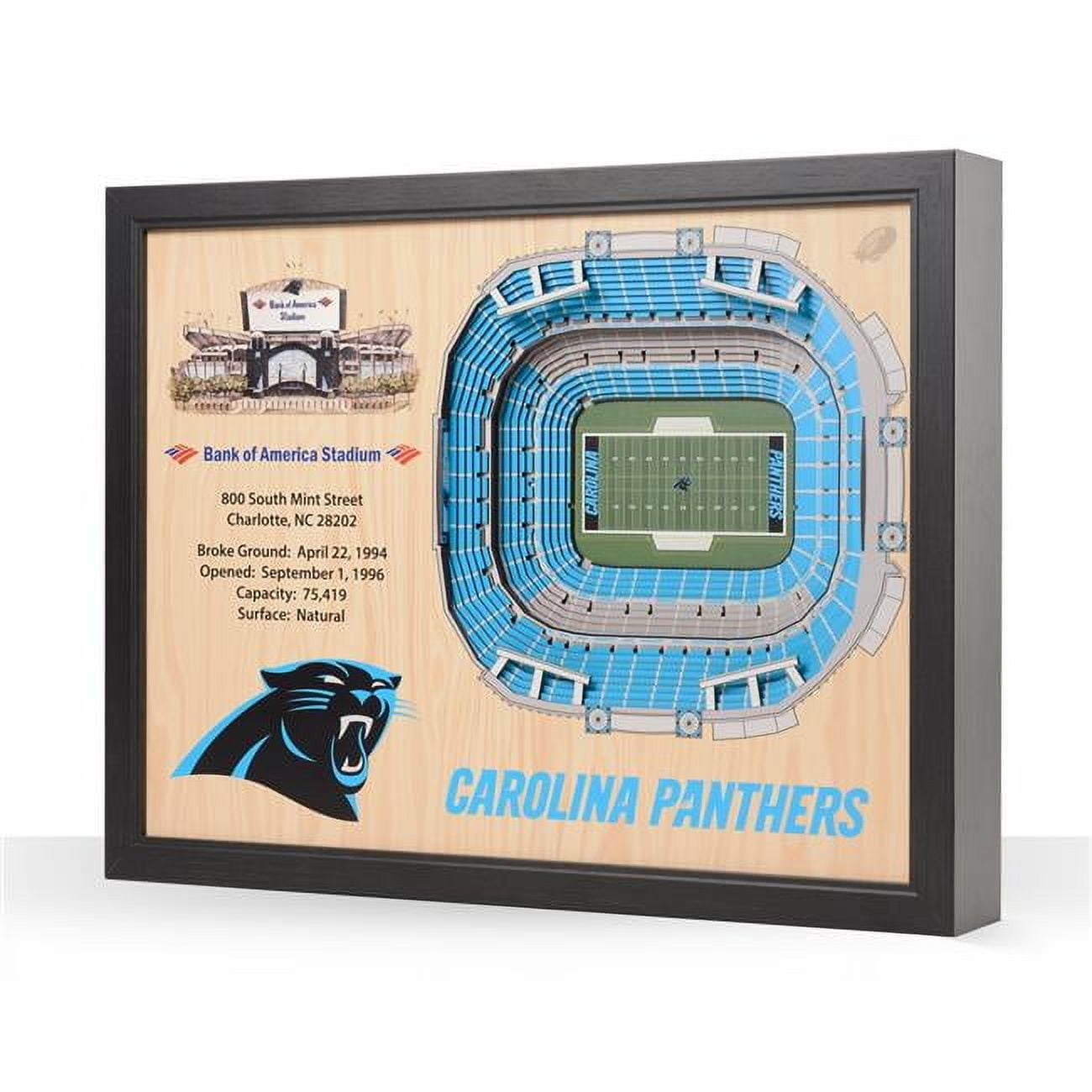 YouTheFan NFL Carolina Panthers 25-layer Stadiumview Wall Art