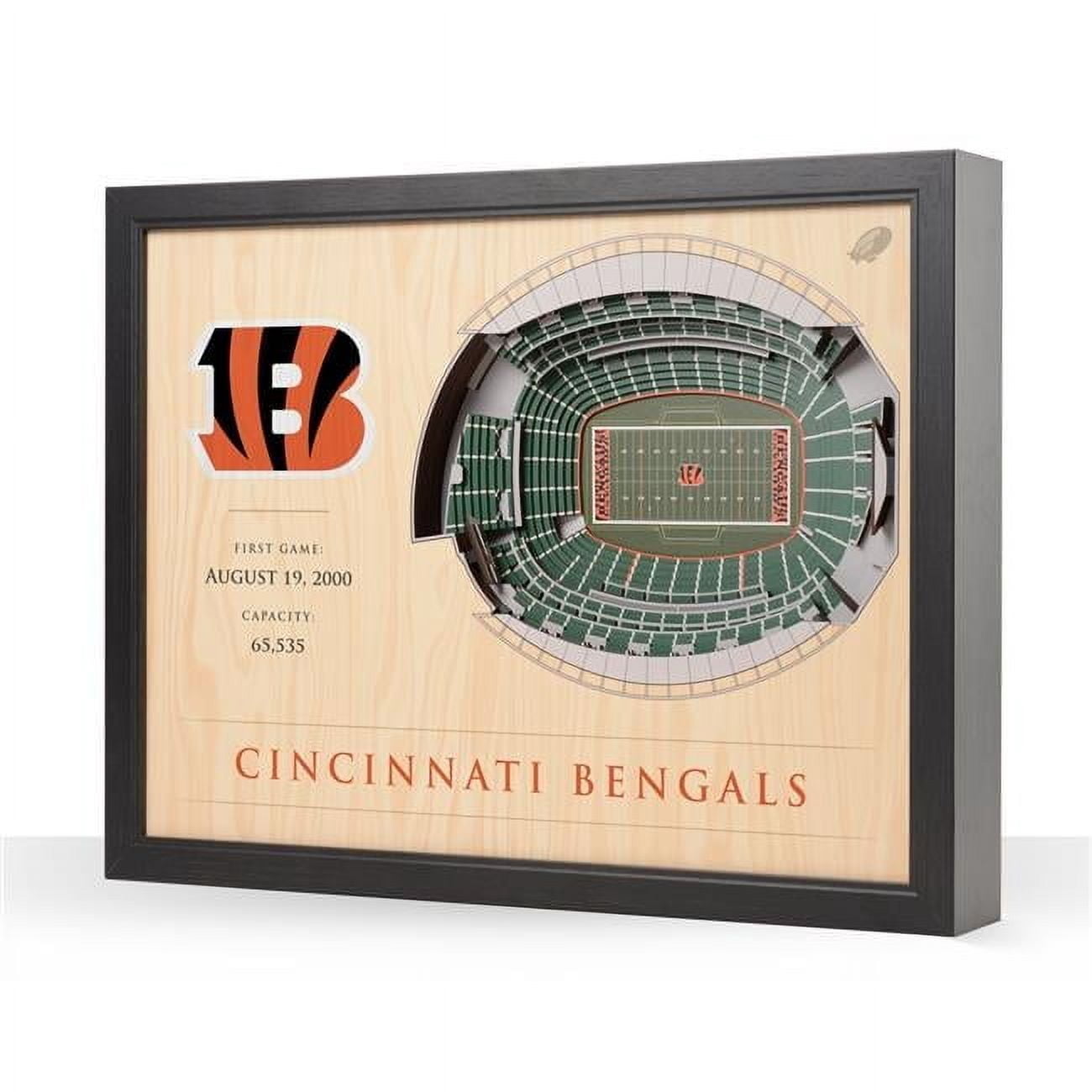 YouTheFan NFL Cincinnati Bengals 25-layer Stadiumview Wall Art
