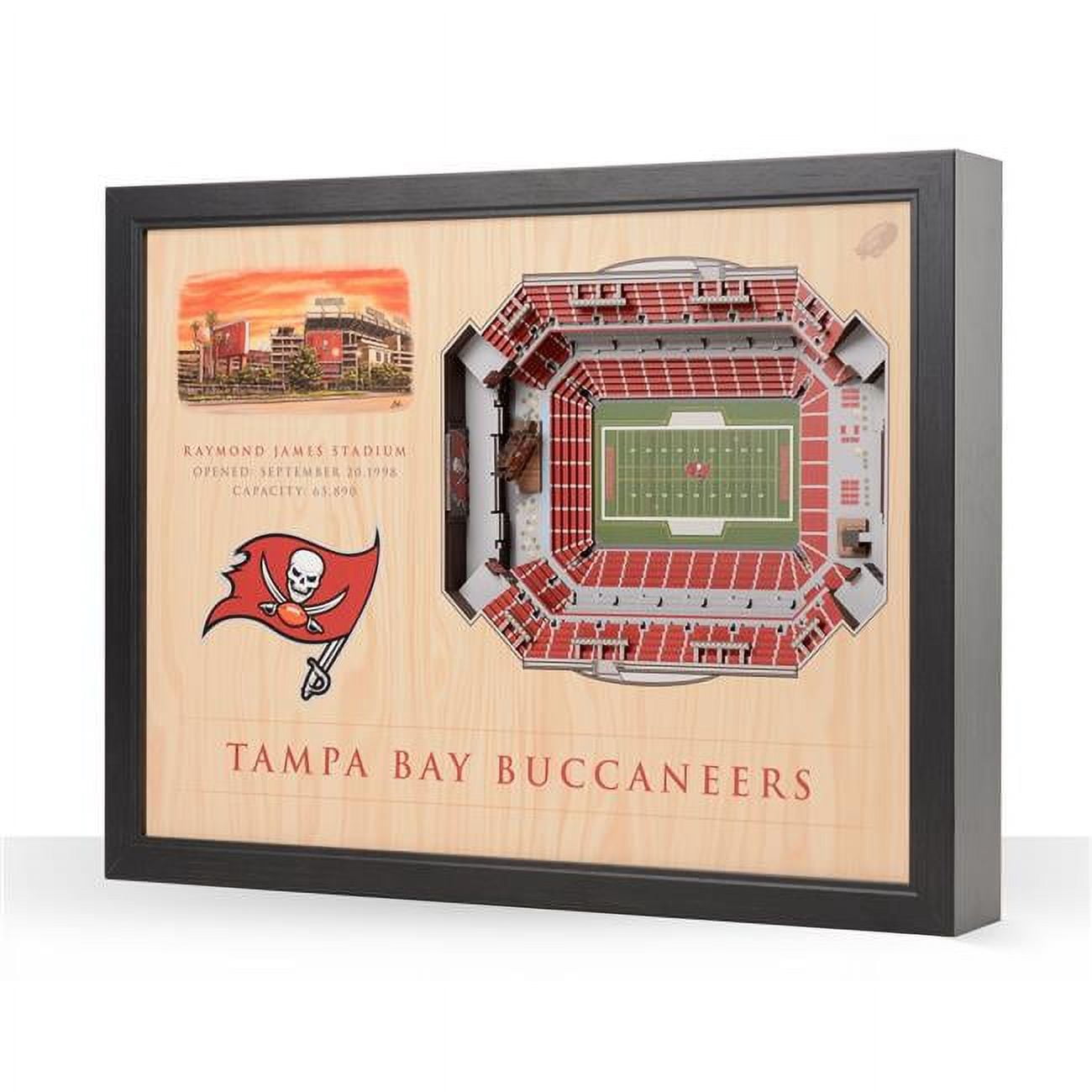 Tampa Bay Buccaneers Raymond James Stadium 25.5" x 19.5" Stadium Views Wall Art