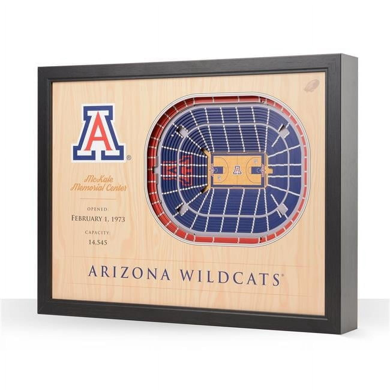 YouTheFan NCAA Arizona Wildcats FB 25-Layer Stadiumview Wall Art