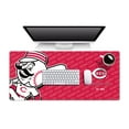thumbnail image 1 of YouTheFan MLB Cincinnati Reds Logo Series Desk Pad, 1 of 6
