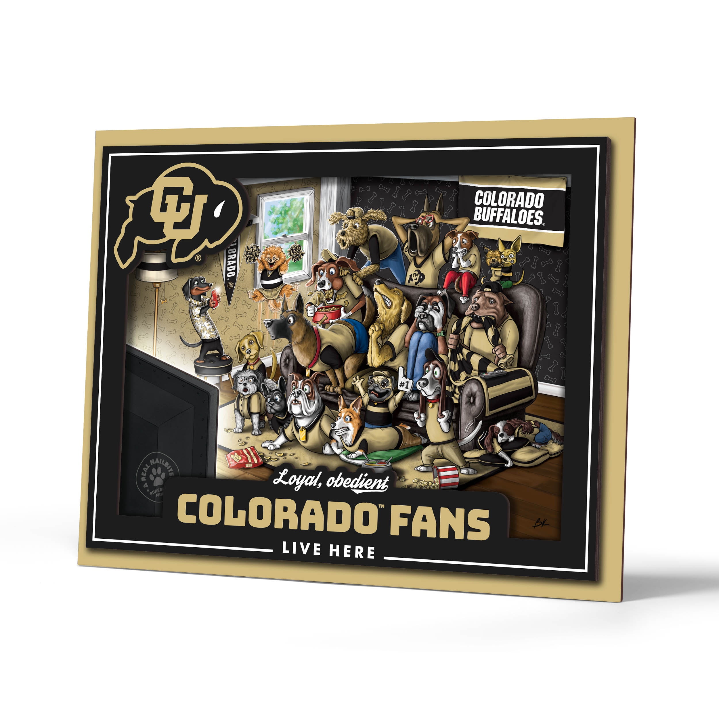 YouTheFan NCAA Colorado Buffaloes Purebred Fans Wall Art