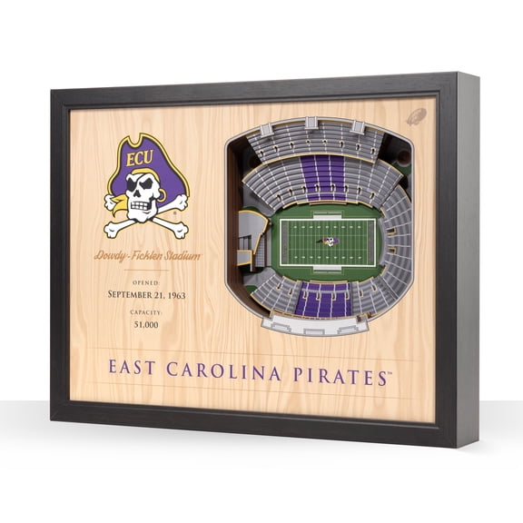 YouTheFan NCAA E Carolina Pirates FB 25-Layer Stadiumview Wall Art