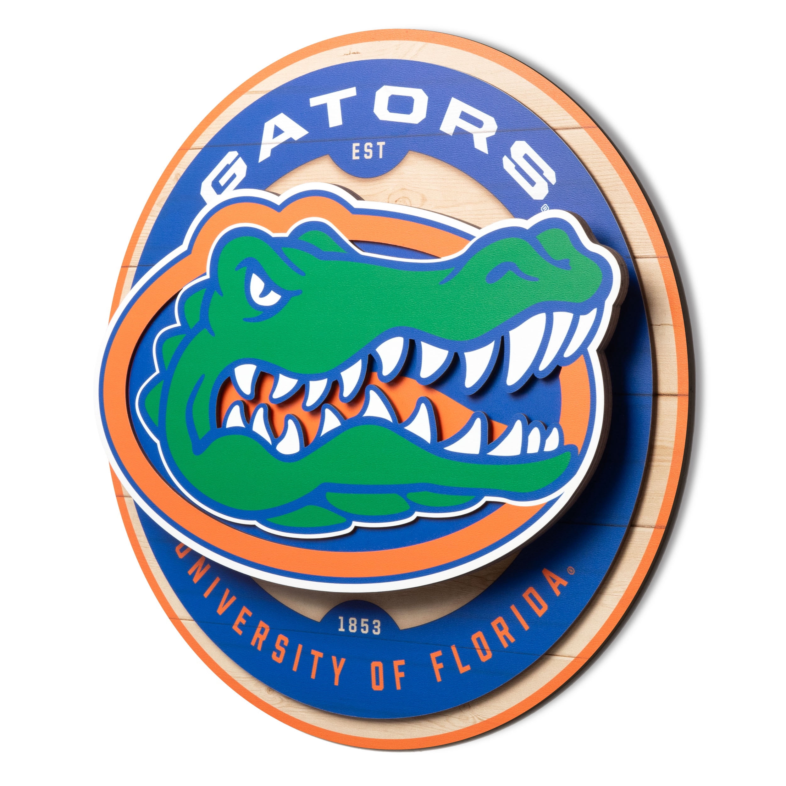 YouTheFan NCAA Florida Gators 3DX Circle Wall Art