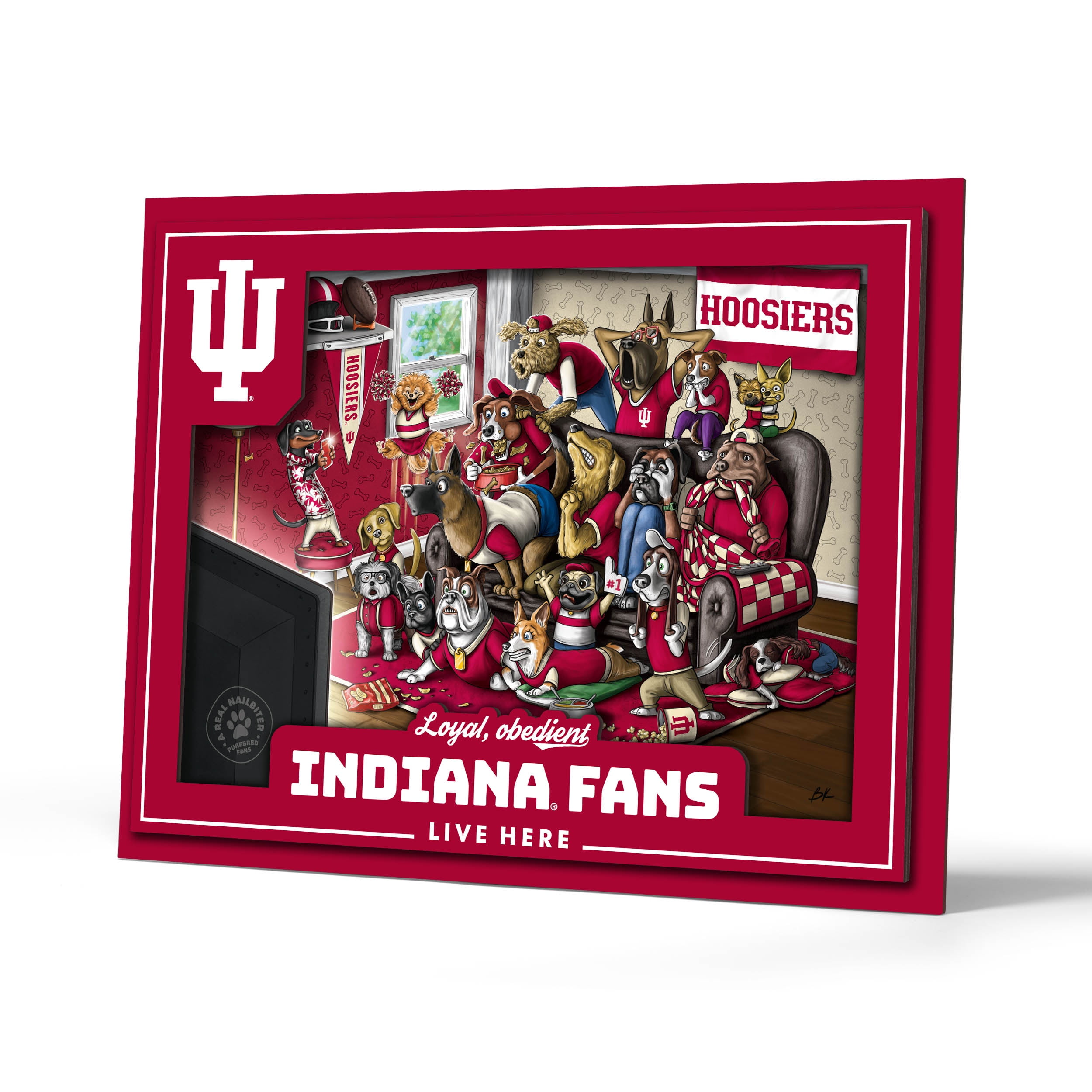 YouTheFan NCAA Indiana Hoosiers Purebred Fans Wall Art