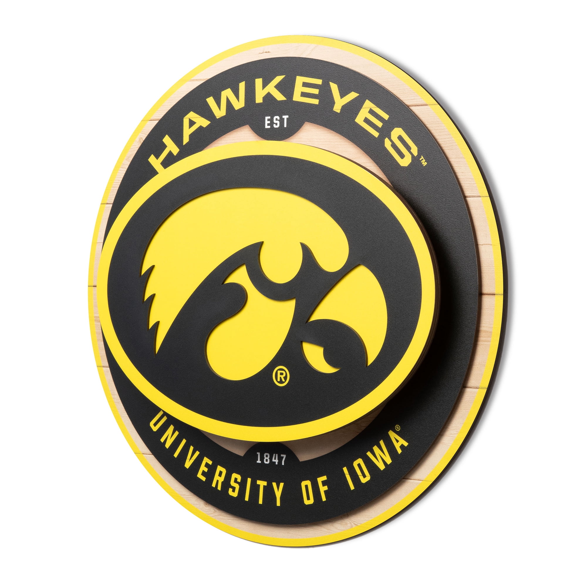 IDNA Iowa Hawkeyes 15" x 15" 3DX Logo Circle Backer Wall Art