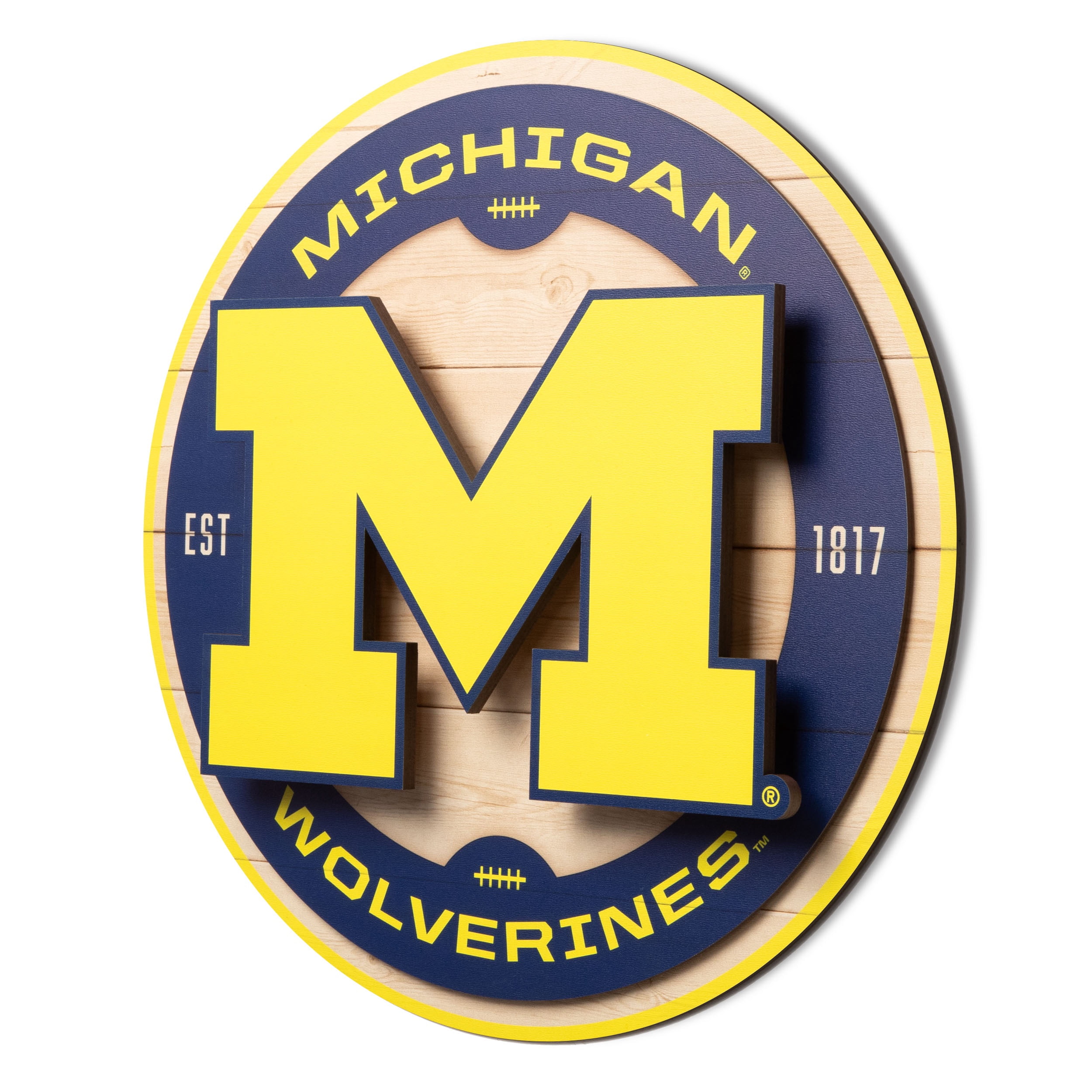 YouTheFan NCAA Michigan Wolverines 3DX Circle Wall Art
