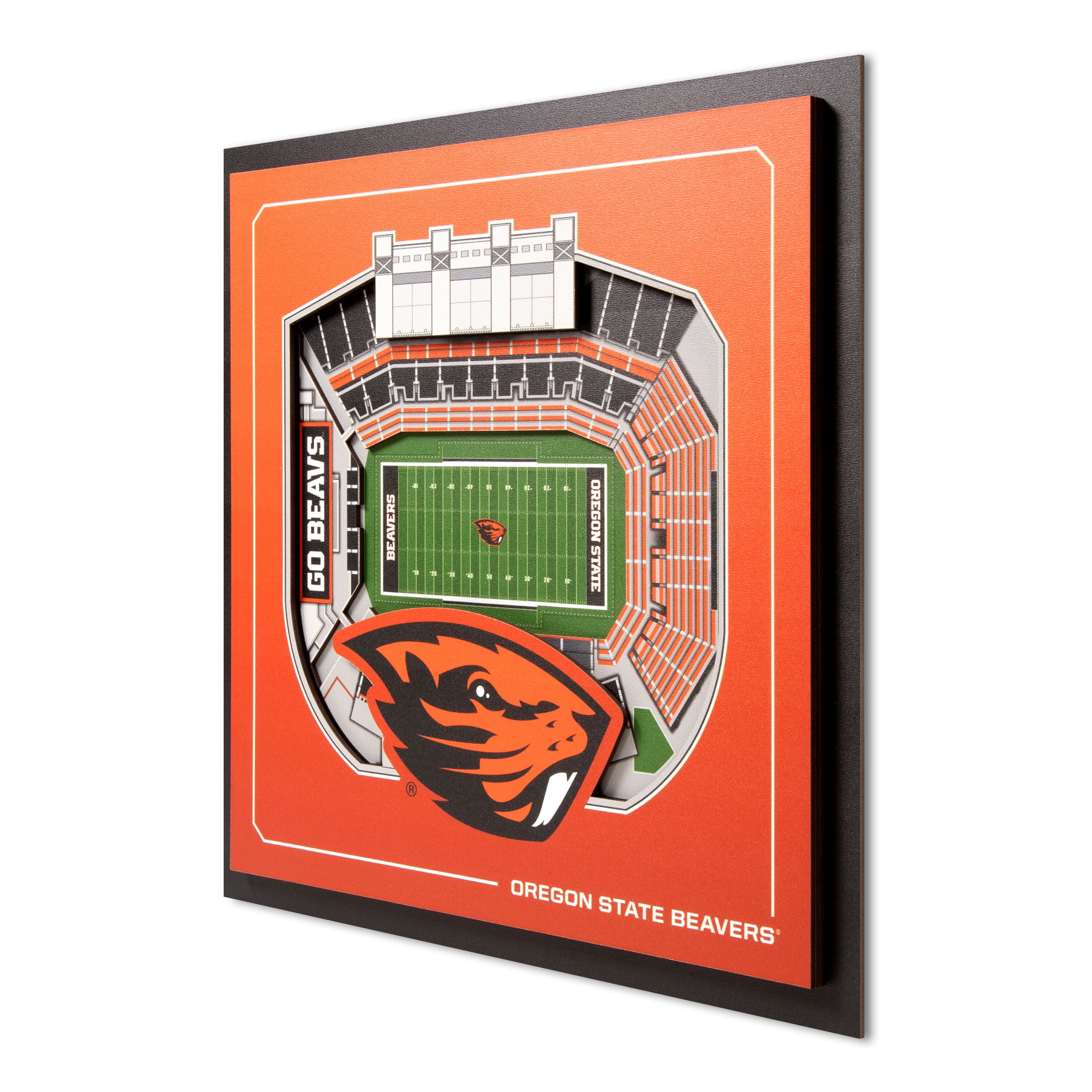 YouTheFan NCAA Oregon State Beavers Stadium Series 3D Wall Art