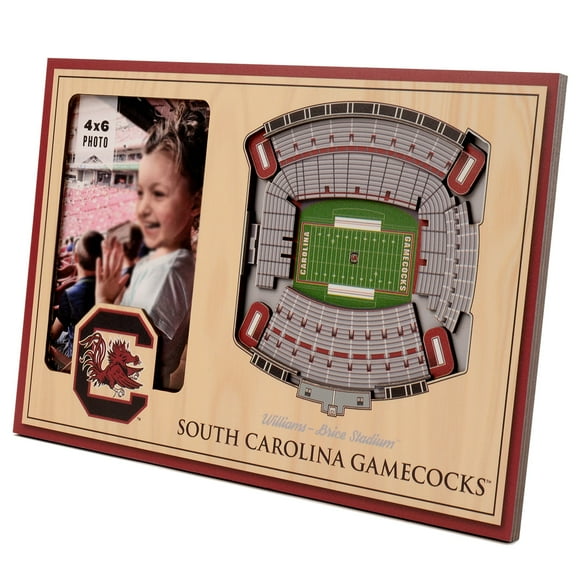 Brown South Carolina Gamecocks 3D StadiumViews Picture Frame