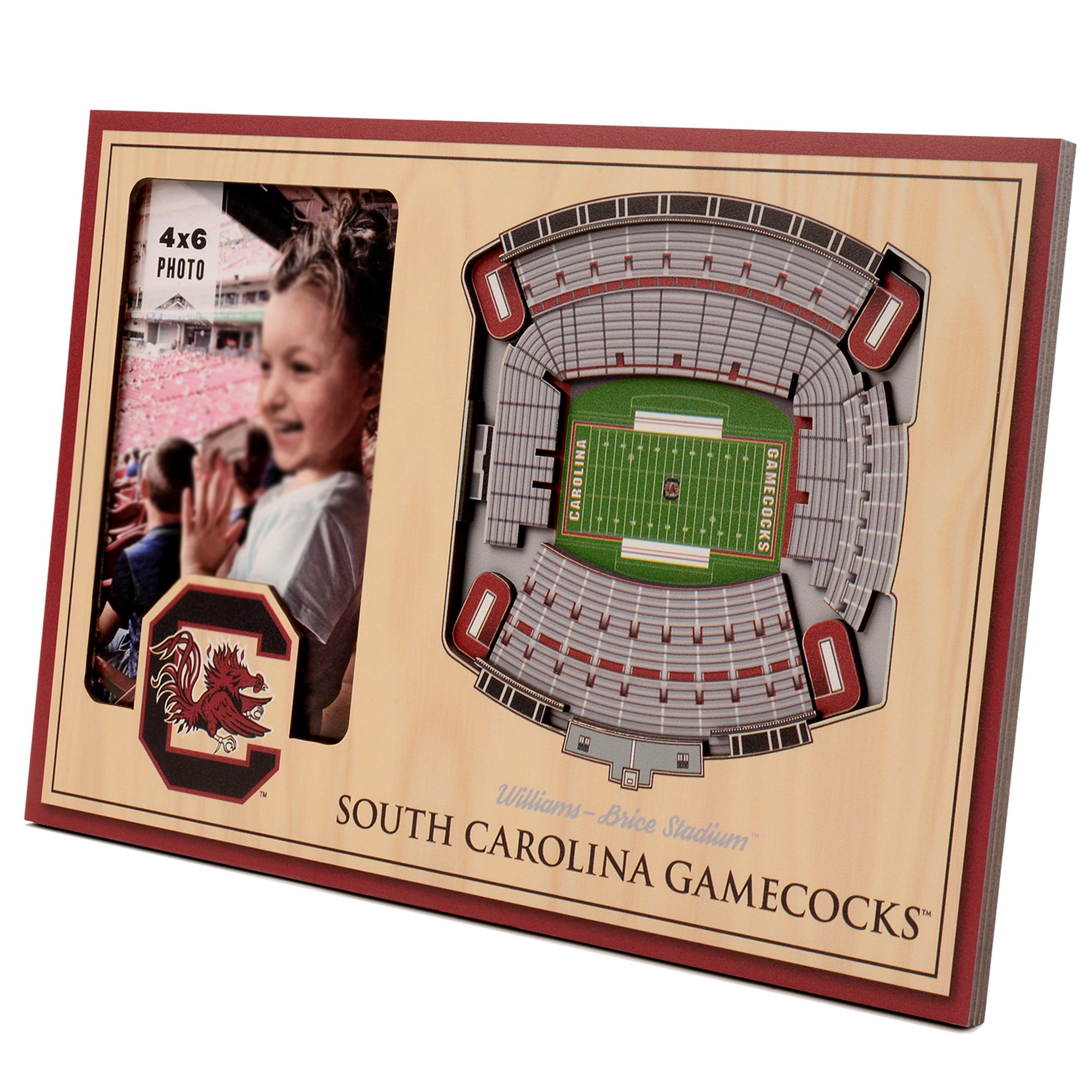 IDNA South Carolina Gamecocks 3D StadiumViews Picture Frame
