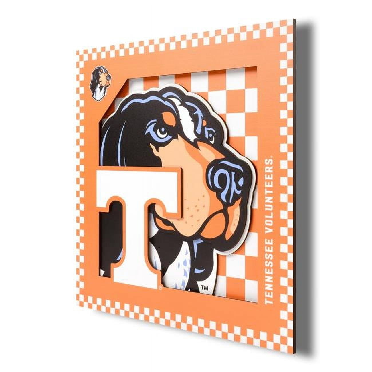 TenneeeVolnteer12''x12''3DLogoWllrt
