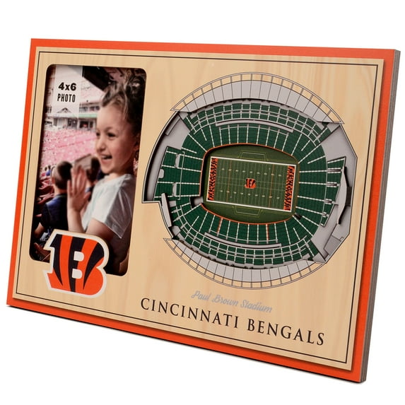 Brown Cincinnati Bengals 3D StadiumViews Picture Frame
