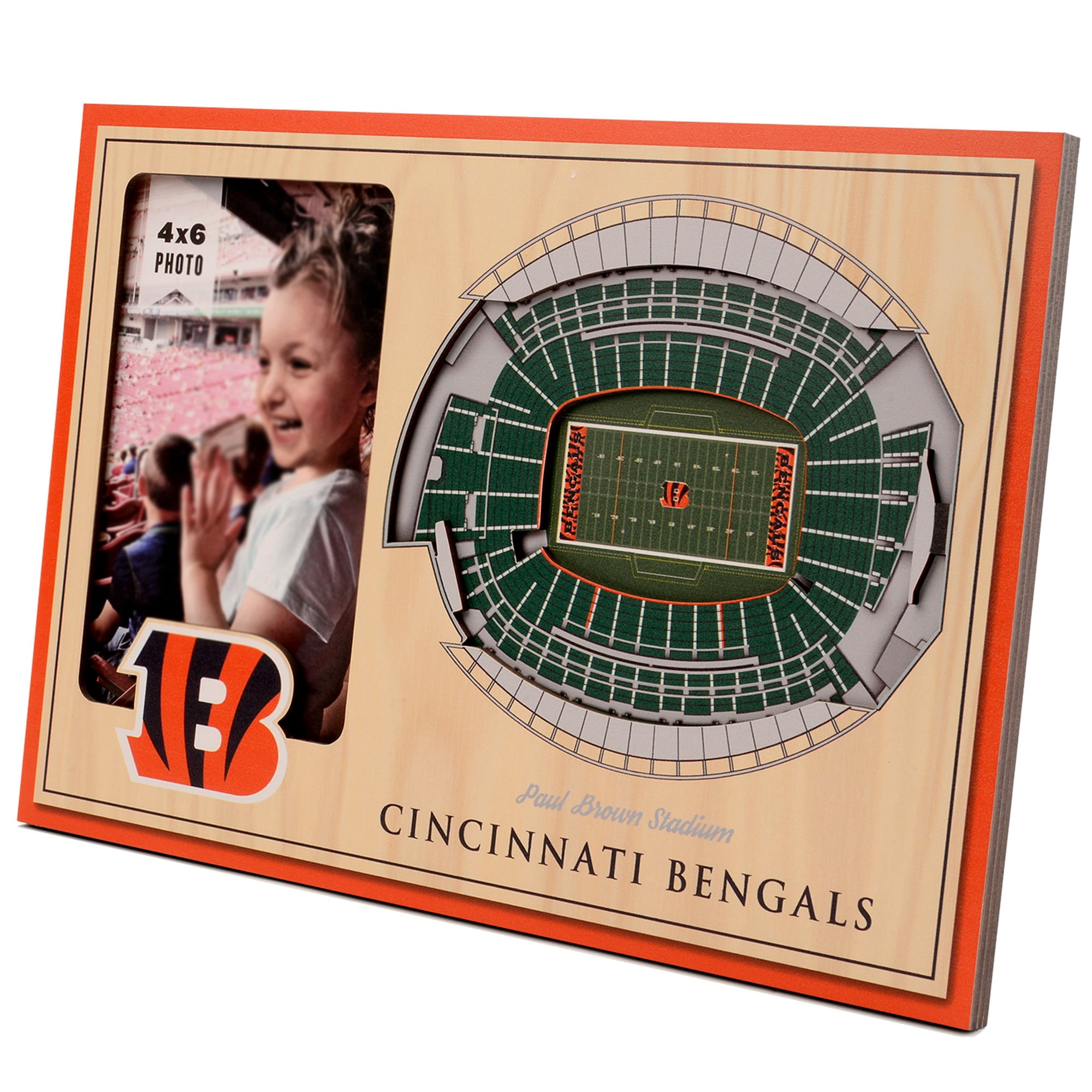 IDNA Cincinnati Bengals 3D StadiumViews Picture Frame