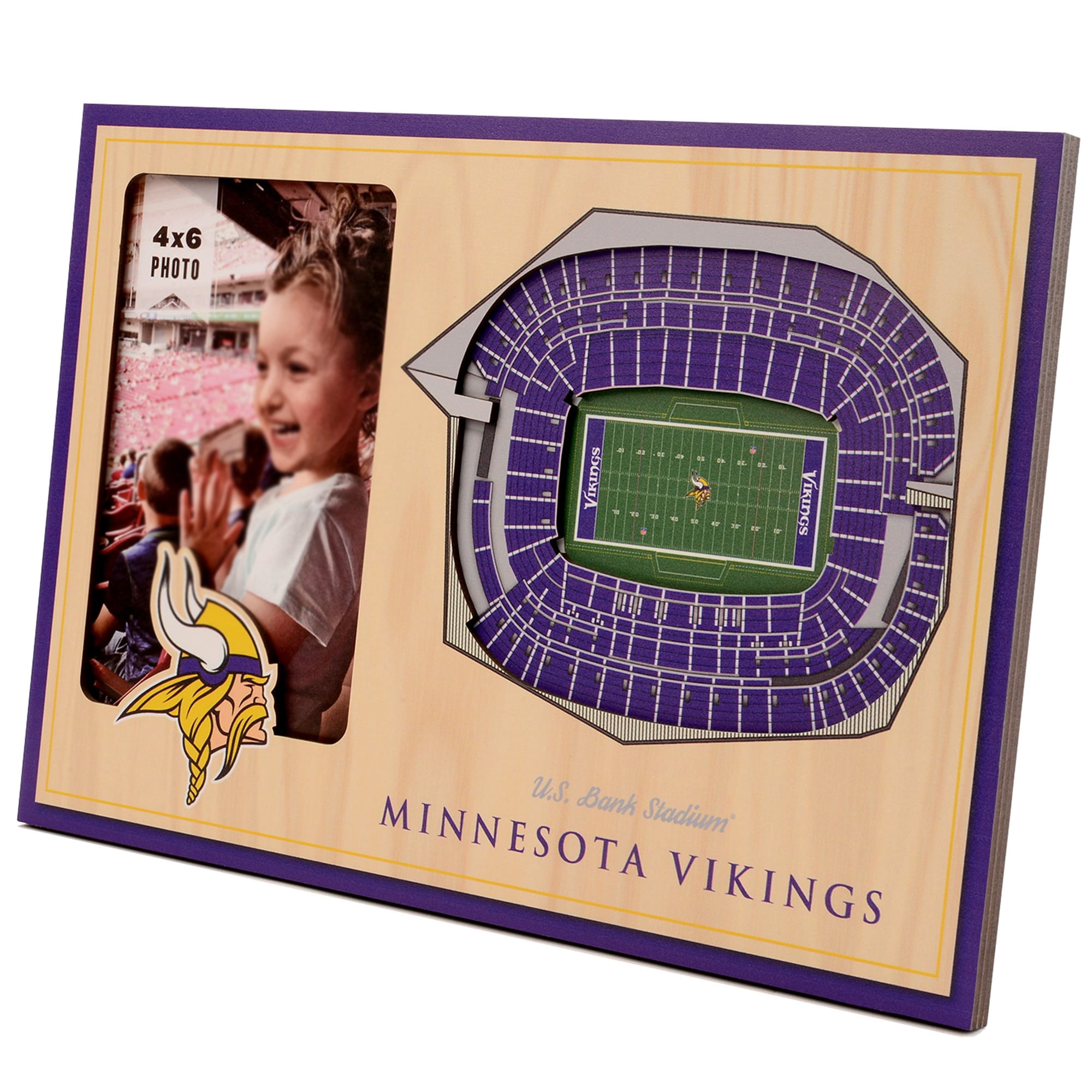 Fanpoint Minnesota Vikings 3D StadiumView Picture Frame